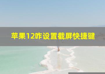 苹果12咋设置截屏快捷键