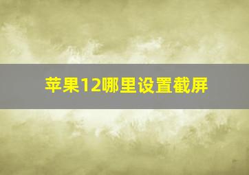 苹果12哪里设置截屏