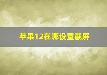 苹果12在哪设置截屏