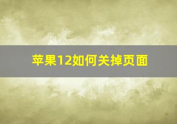 苹果12如何关掉页面