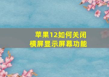 苹果12如何关闭横屏显示屏幕功能