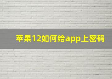 苹果12如何给app上密码