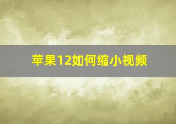 苹果12如何缩小视频