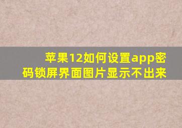 苹果12如何设置app密码锁屏界面图片显示不出来