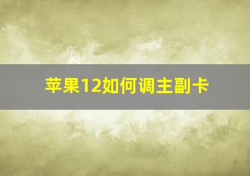 苹果12如何调主副卡