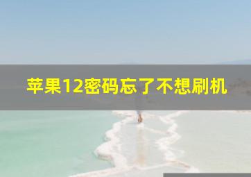 苹果12密码忘了不想刷机