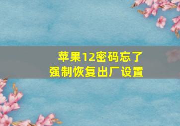 苹果12密码忘了强制恢复出厂设置