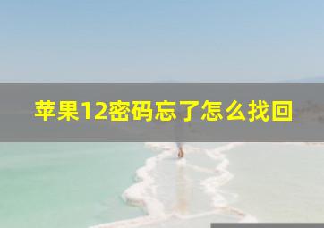 苹果12密码忘了怎么找回