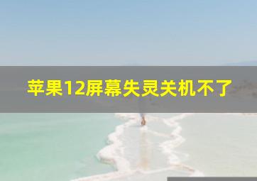 苹果12屏幕失灵关机不了