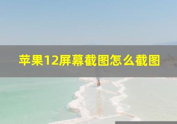 苹果12屏幕截图怎么截图