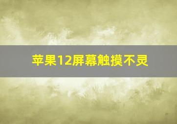 苹果12屏幕触摸不灵