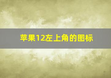 苹果12左上角的图标