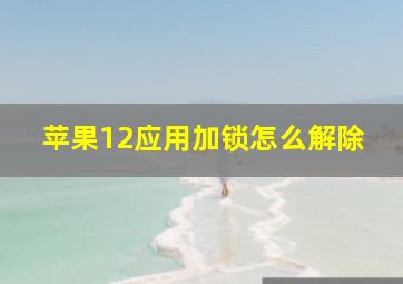 苹果12应用加锁怎么解除