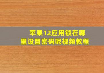 苹果12应用锁在哪里设置密码呢视频教程