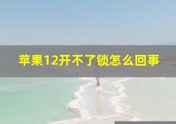 苹果12开不了锁怎么回事