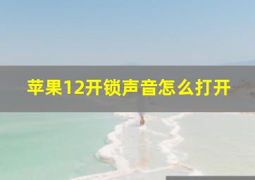 苹果12开锁声音怎么打开