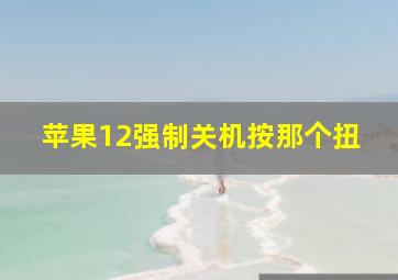 苹果12强制关机按那个扭