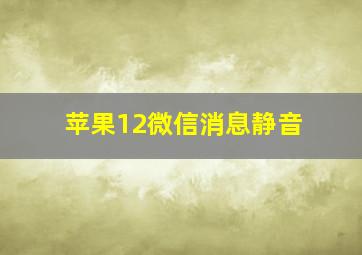 苹果12微信消息静音