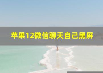 苹果12微信聊天自己黑屏