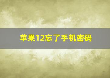 苹果12忘了手机密码