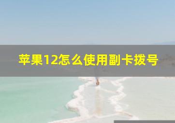 苹果12怎么使用副卡拨号