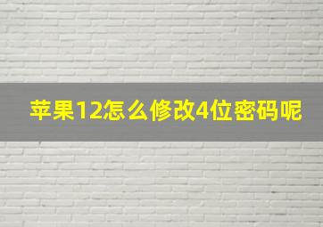 苹果12怎么修改4位密码呢