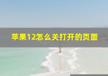 苹果12怎么关打开的页面