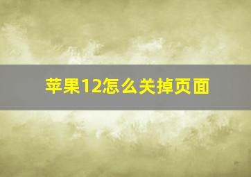 苹果12怎么关掉页面