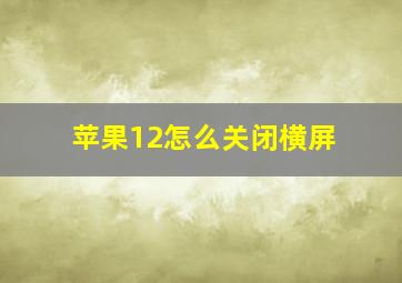 苹果12怎么关闭横屏