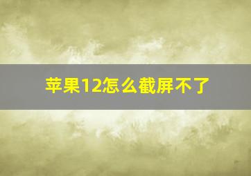 苹果12怎么截屏不了