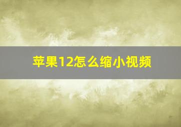 苹果12怎么缩小视频