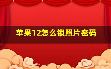 苹果12怎么锁照片密码