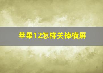 苹果12怎样关掉横屏