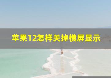 苹果12怎样关掉横屏显示