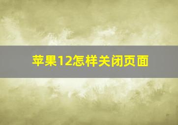 苹果12怎样关闭页面