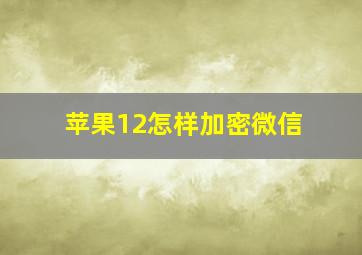 苹果12怎样加密微信