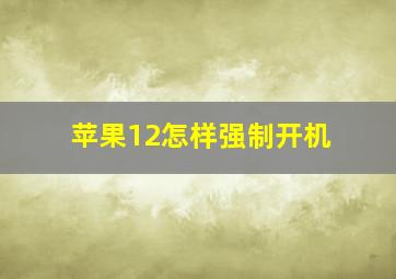 苹果12怎样强制开机