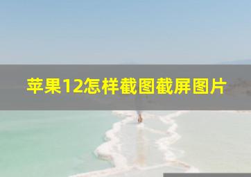 苹果12怎样截图截屏图片