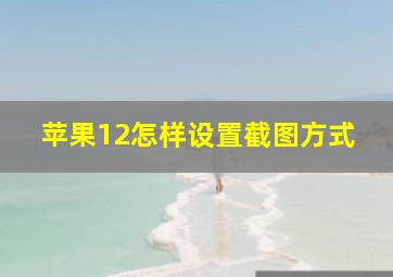 苹果12怎样设置截图方式