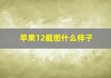 苹果12截图什么样子