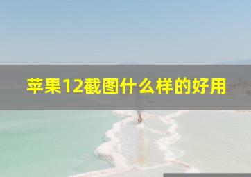 苹果12截图什么样的好用