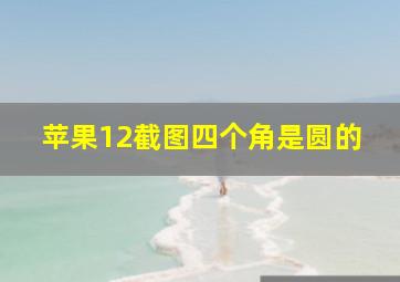 苹果12截图四个角是圆的