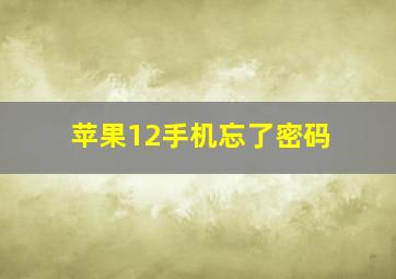 苹果12手机忘了密码