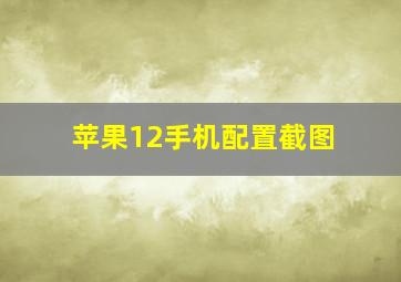 苹果12手机配置截图