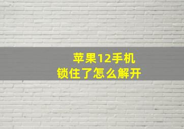 苹果12手机锁住了怎么解开