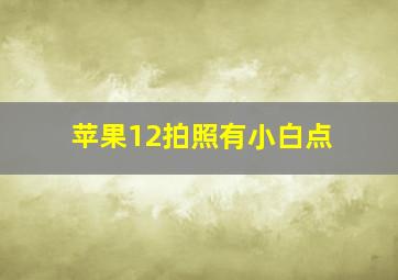 苹果12拍照有小白点