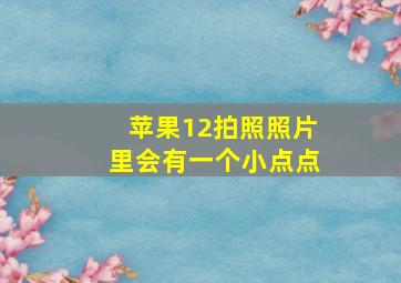 苹果12拍照照片里会有一个小点点