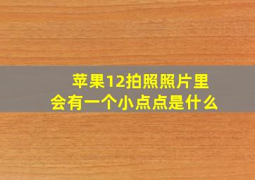 苹果12拍照照片里会有一个小点点是什么