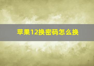 苹果12换密码怎么换