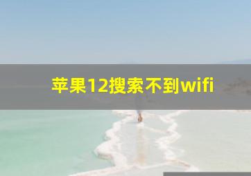 苹果12搜索不到wifi